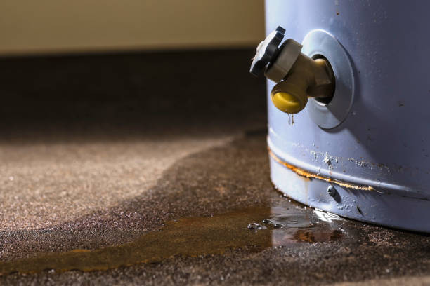Best Ceiling water damage repair  in Tiptonville, TN