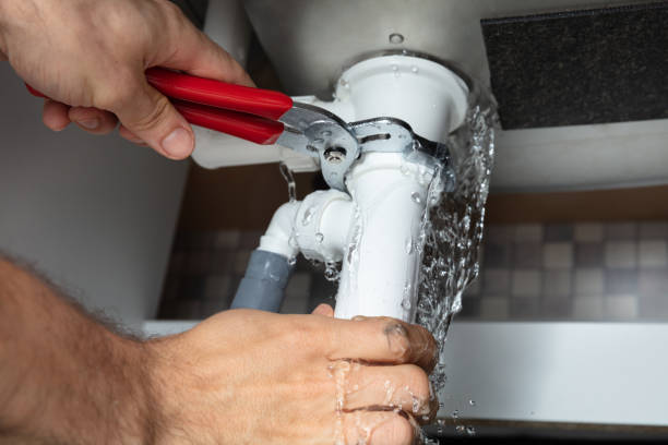 Best Fire Damage Restoration  in Tiptonville, TN