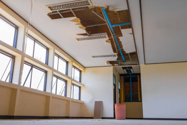 Reliable Tiptonville, TN Water damage restoration Solutions