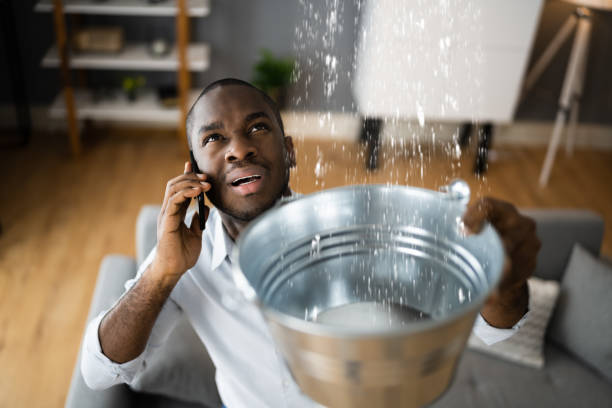Best Water damage contractors near me  in Tiptonville, TN