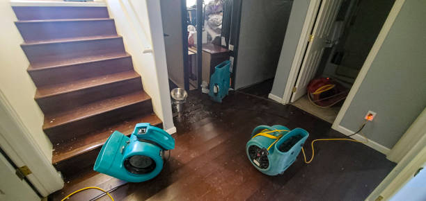 Water damage restoration mold remediation in Tiptonville, TN