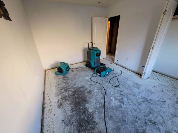 Best Water damage restoration company  in Tiptonville, TN