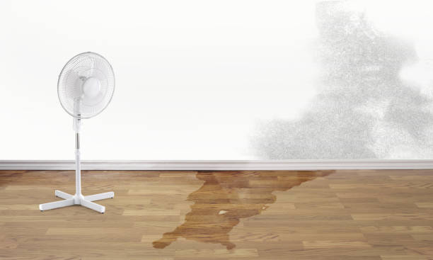Best 24-hour water damage restoration  in Tiptonville, TN