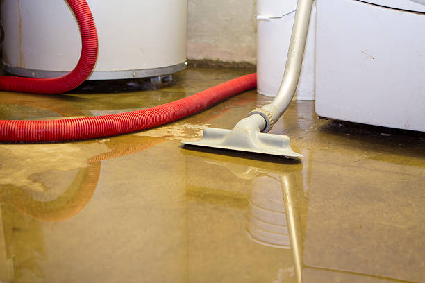 Best Water damage restoration near me  in Tiptonville, TN
