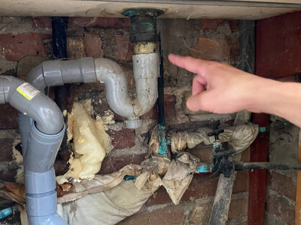 Best Water damage restoration near me  in Tiptonville, TN