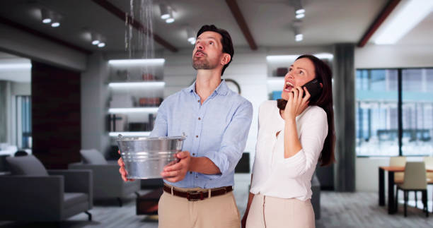 Best Sewage cleanup and water damage restoration  in Tiptonville, TN