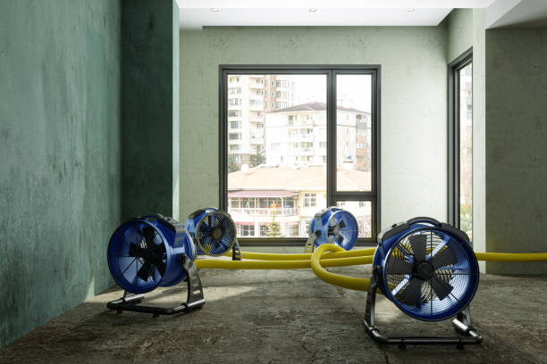 Best Carpet water damage restoration  in Tiptonville, TN