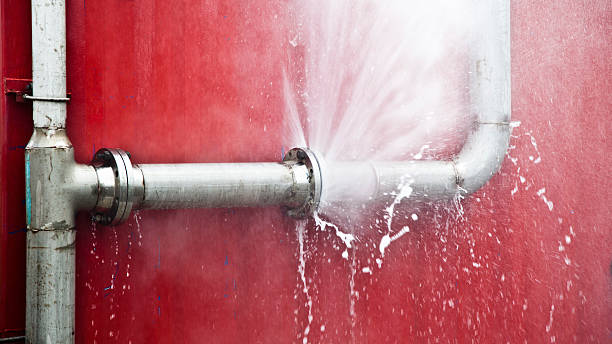 Best Water damage restoration insurance claims  in Tiptonville, TN
